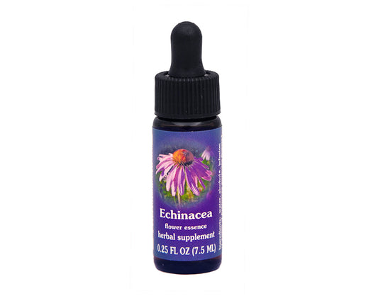 Biodynamic Echinacea Flower Essence Herbal Supplement