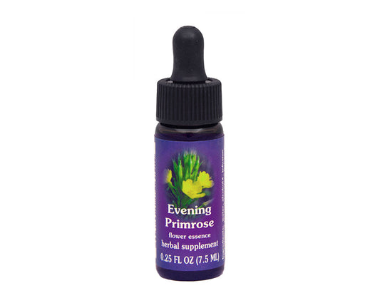 Biodynamic Evening Primrose Flower Essence Herbal Supplement