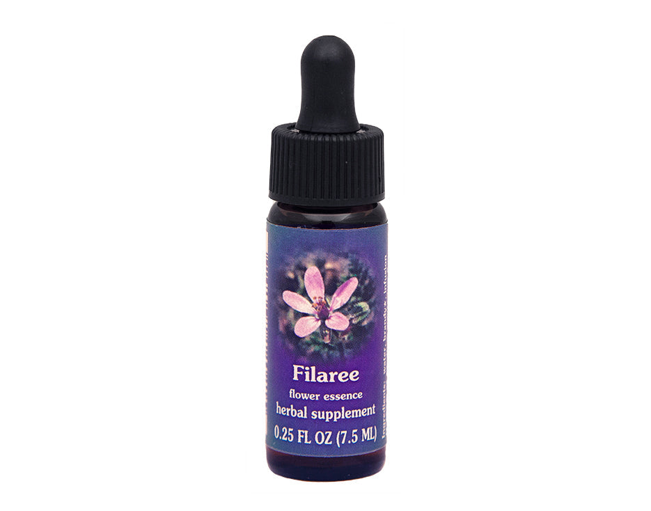 Biodynamic Filaree Flower Essence Herbal Supplement