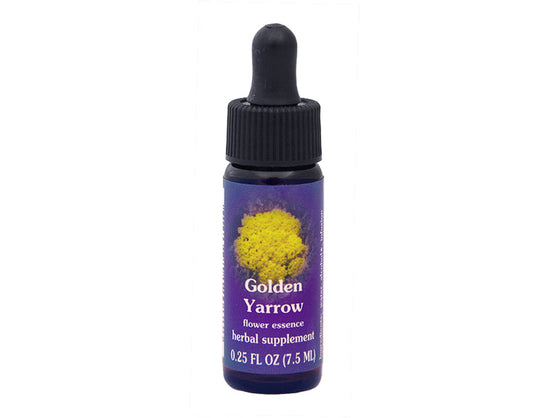 Biodynamic Golden Yarrow Flower Essence Herbal Supplement