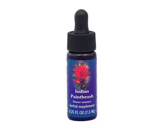 Biodynamic Indian Paintbrush Flower Essence Herbal Supplement
