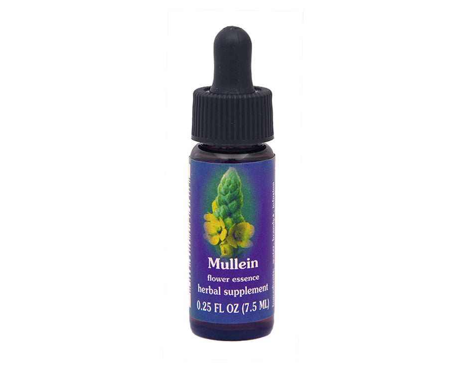 Biodynamic Mullein Flower Essence Herbal Supplement