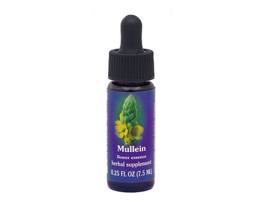 Biodynamic Mullein Flower Essence Herbal Supplement
