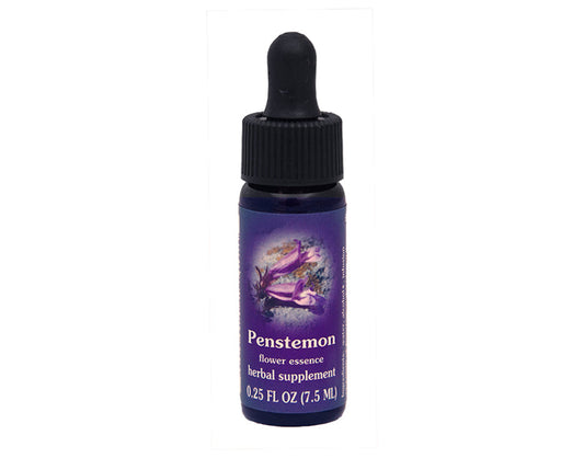 Biodynamic Penstemon Flower Essence Herbal Supplement
