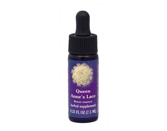 Biodynamic Queen Anne's Lace Flower Essence Herbal Supplement