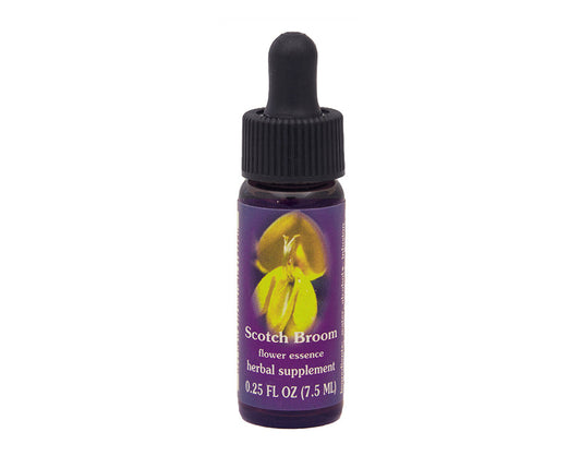 Biodynamic Scotch Broom Flower Essence Herbal Supplement