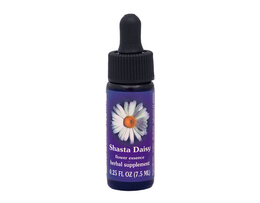 Biodynamic Shasta Daisy Flower Essence Herbal Supplement