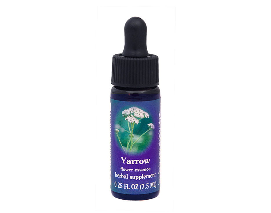 Biodynamic Yarrow Flower Essence Herbal Supplement