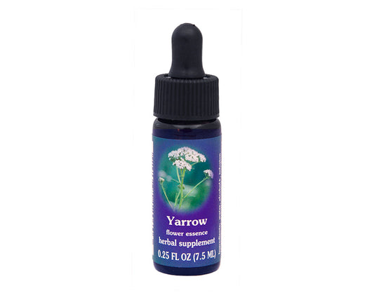 Biodynamic Yarrow Flower Essence Herbal Supplement