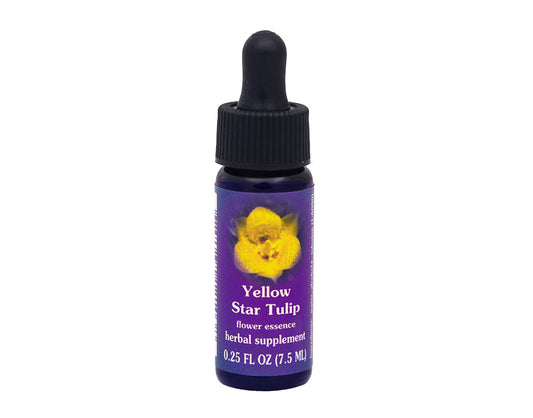 Biodynamic Yellow Star Tulip Flower Essence Herbal Supplement
