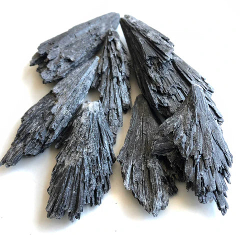Black Kyanite Fan Rough Specimens Brazil