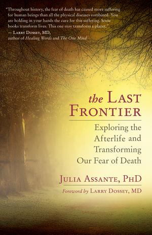 The Last Frontier by Julia Assante