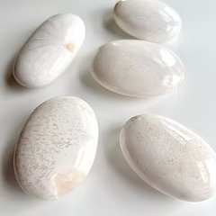 Scolecite Palm Stone Gallet - India