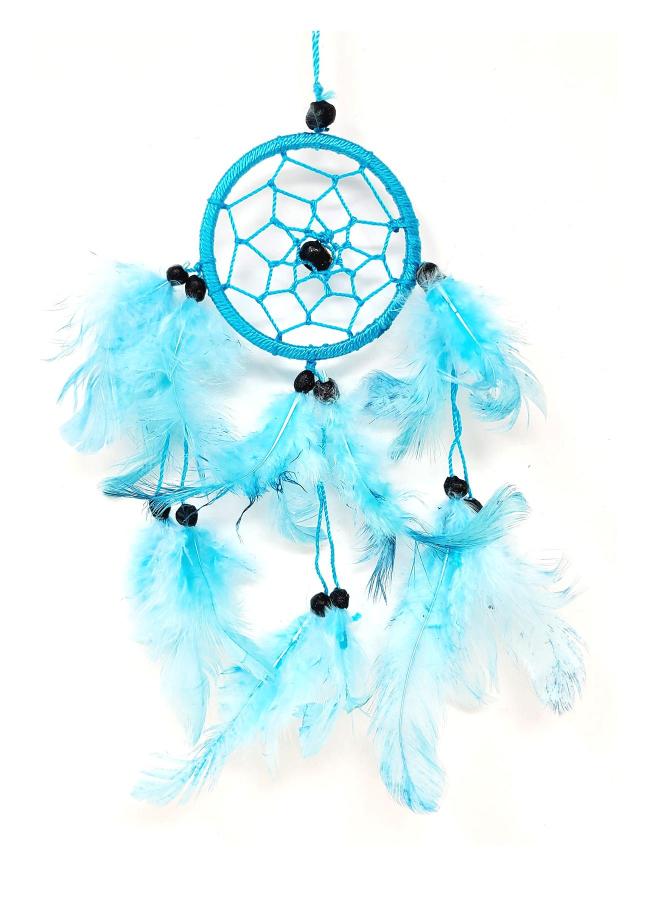 2.5 Dream Catcher With Feathers & Beads