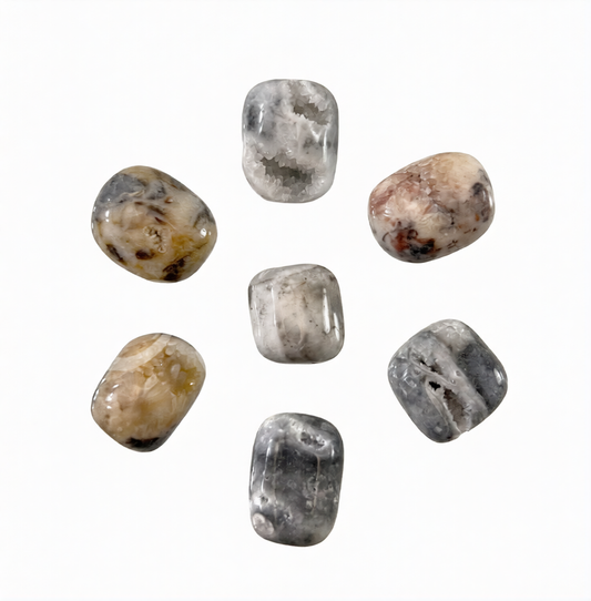Dendritic Agate W/ Druze Tumbled Indonesia