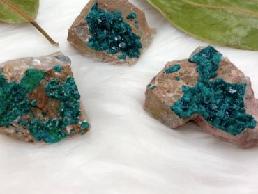 Dioptase Natural Specimens on Matrix - Kazakhstan