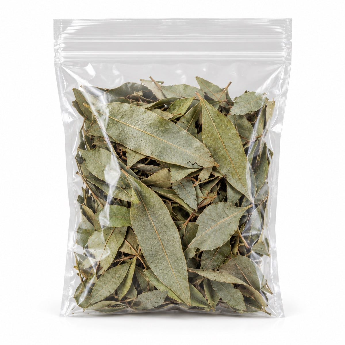 Eucalyptus Leaves, loose herb at Namaste Bookshop near Union Square, NYC