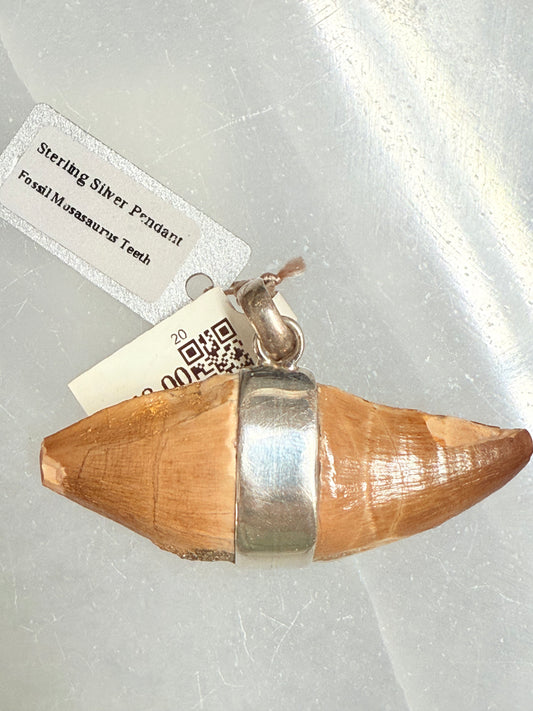 Mosasaurus Fossil Teeth Sterling Silver Pendant – ancient fossil jewelry symbolizing strength, history, and primal energy.
