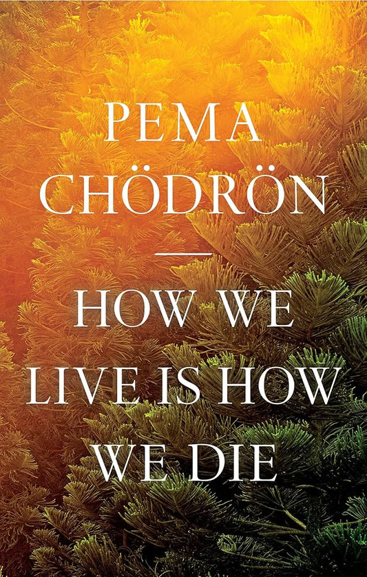 How We Live Is How We Die by Pema Chödrön – compassionate guidance on death awareness, living fully, and spiritual awakening.
