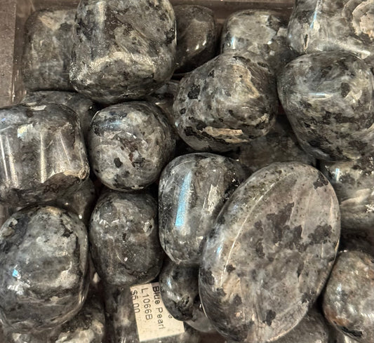 Larvikite Blue Pearl crystal, specimen at Namaste Bookshop near Union Square, NYC
