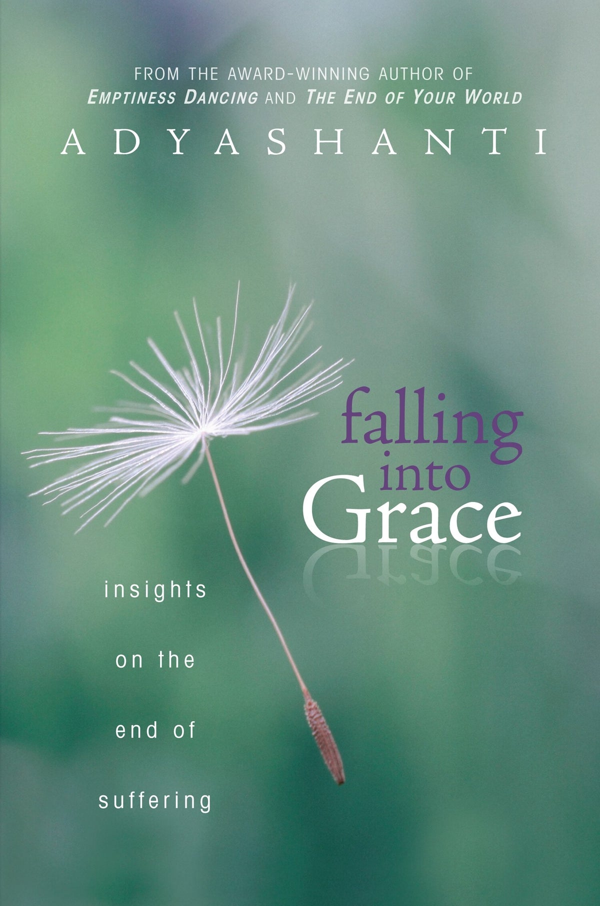 Falling Into Grace: Insights On the End Of Suffering by Adyashanti
