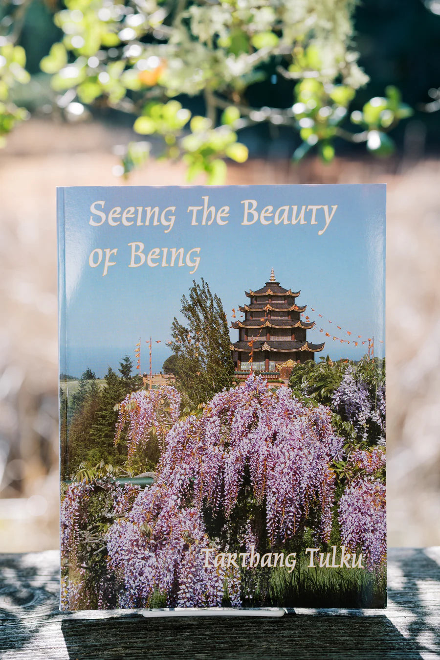 Seeing the Beauty of Being by Tarthang Tulku – contemplative guide to mindfulness, presence, and inner peace.
