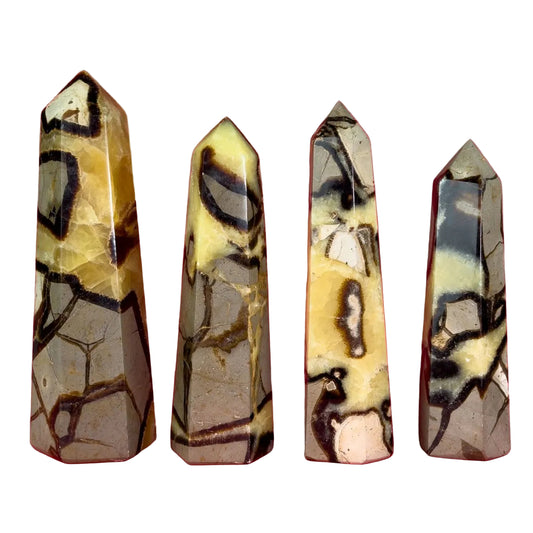 Septarian Obelisk 4-5" - Madagascar