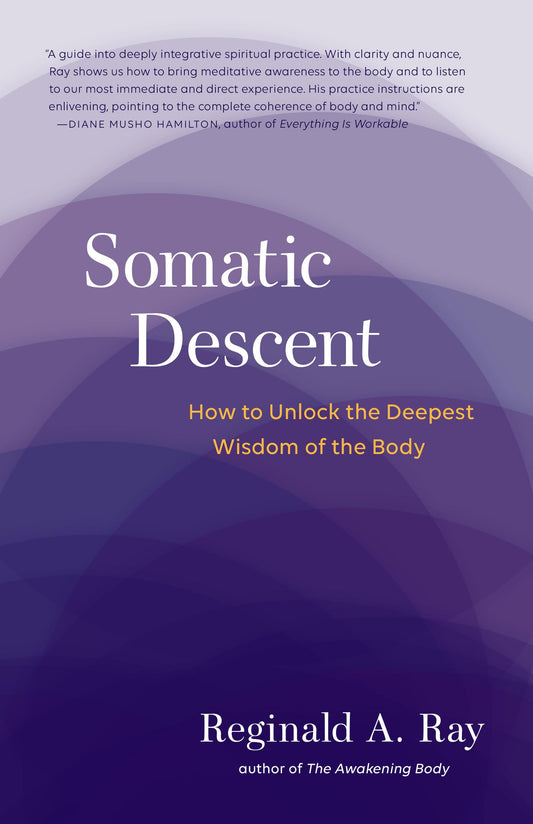Somatic Descent by Reginald A. Ray – embodied meditation guide exploring grief, healing, and deep somatic awareness.

