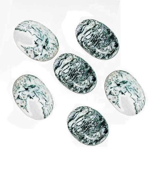 Tree Agate Palmstone Gallet - India