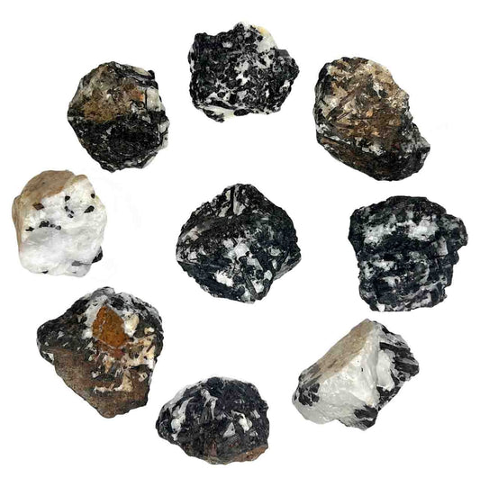 Clear Quartz ith Black Tourmaline Rough 1.5-3" - India