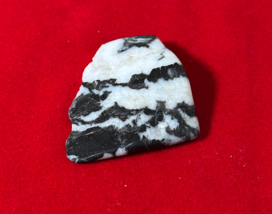 Zebra Jasper Crystal Tumbled – polished jasper stones with distinctive black and white stripes, ideal for balance and grounding.
